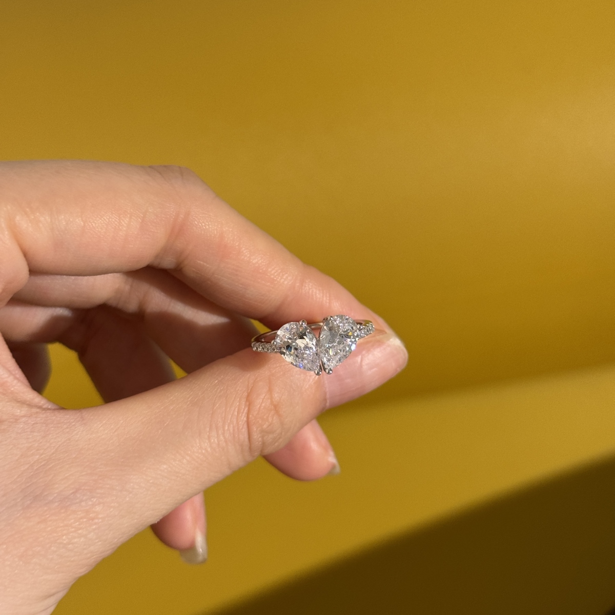 Elegancë e Dyfishtë - Argjend S925