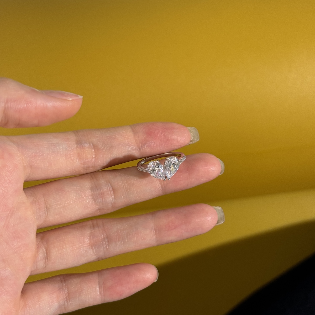 Elegancë e Dyfishtë - Argjend S925