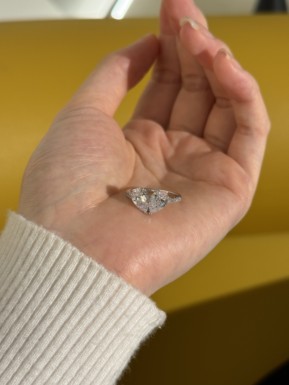 Elegancë e Dyfishtë - Argjend S925