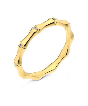 Rrethi i Përjetshëm